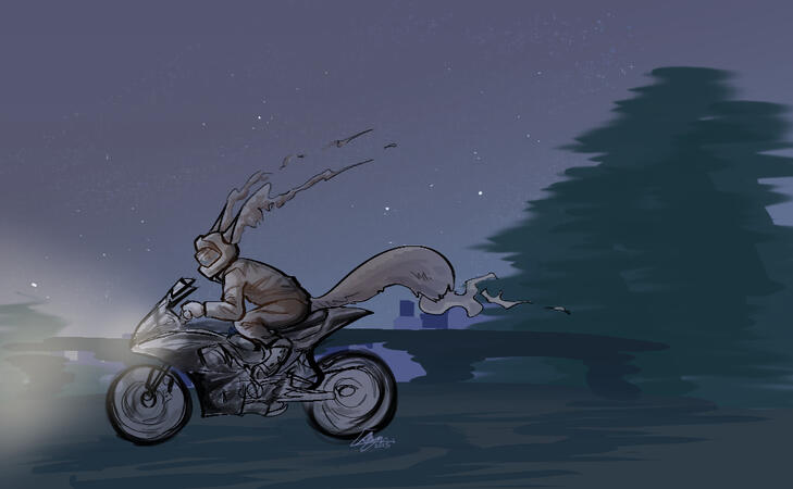 foxcycle